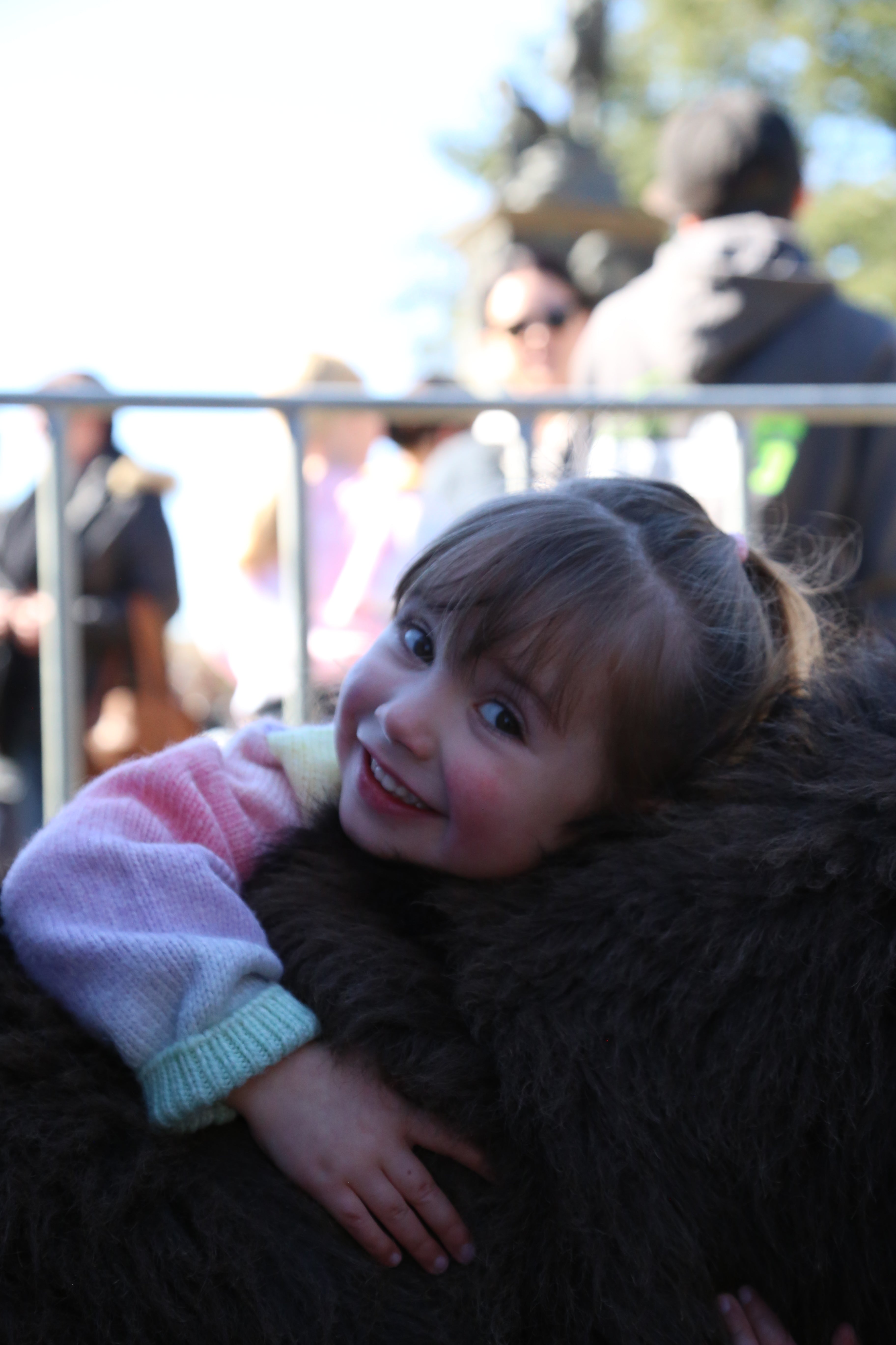 Mini Donkey Therapy