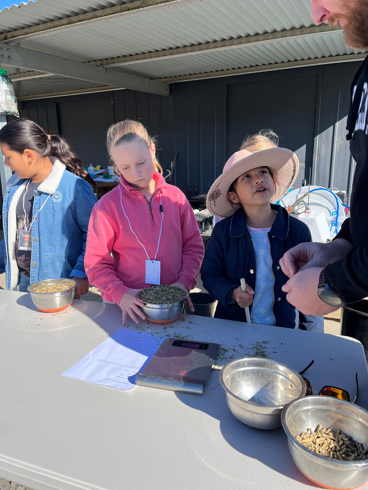 Junior Paddock Explorer (Ages 4–7)