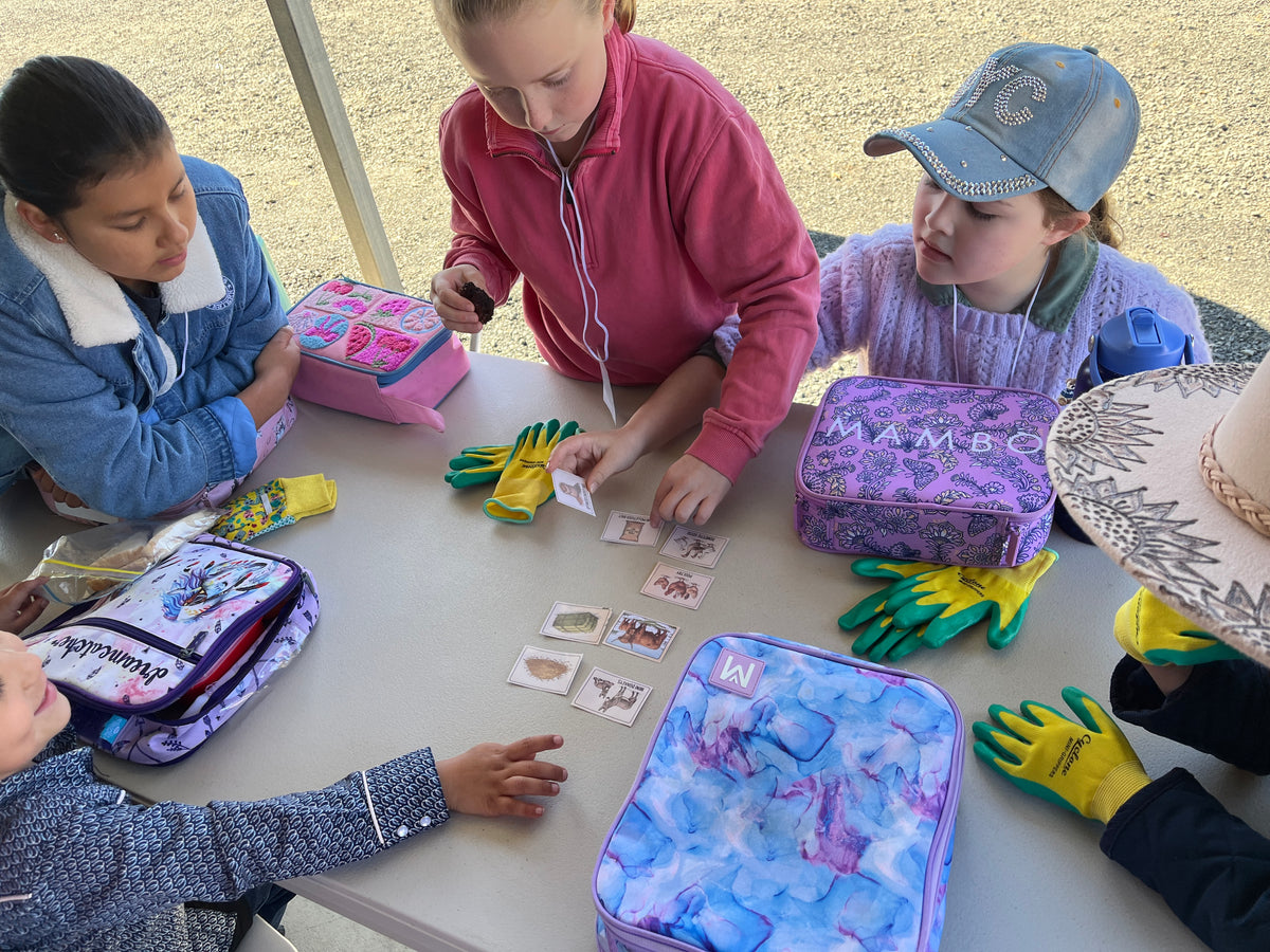 Junior Paddock Explorer (Ages 4–7)
