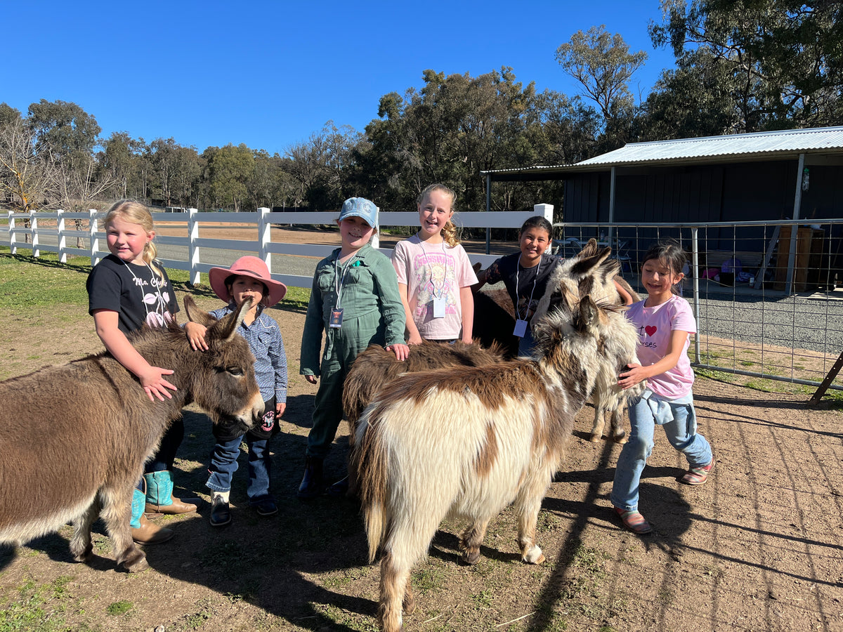 Junior Paddock Explorer (Ages 4–7)