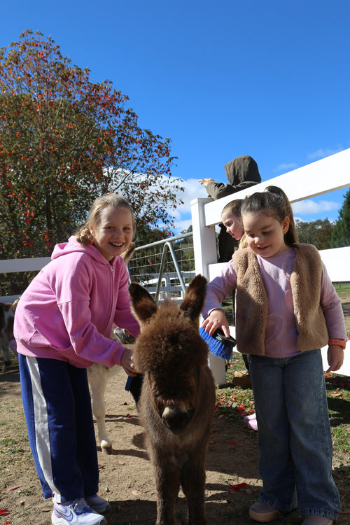 Farm Tour