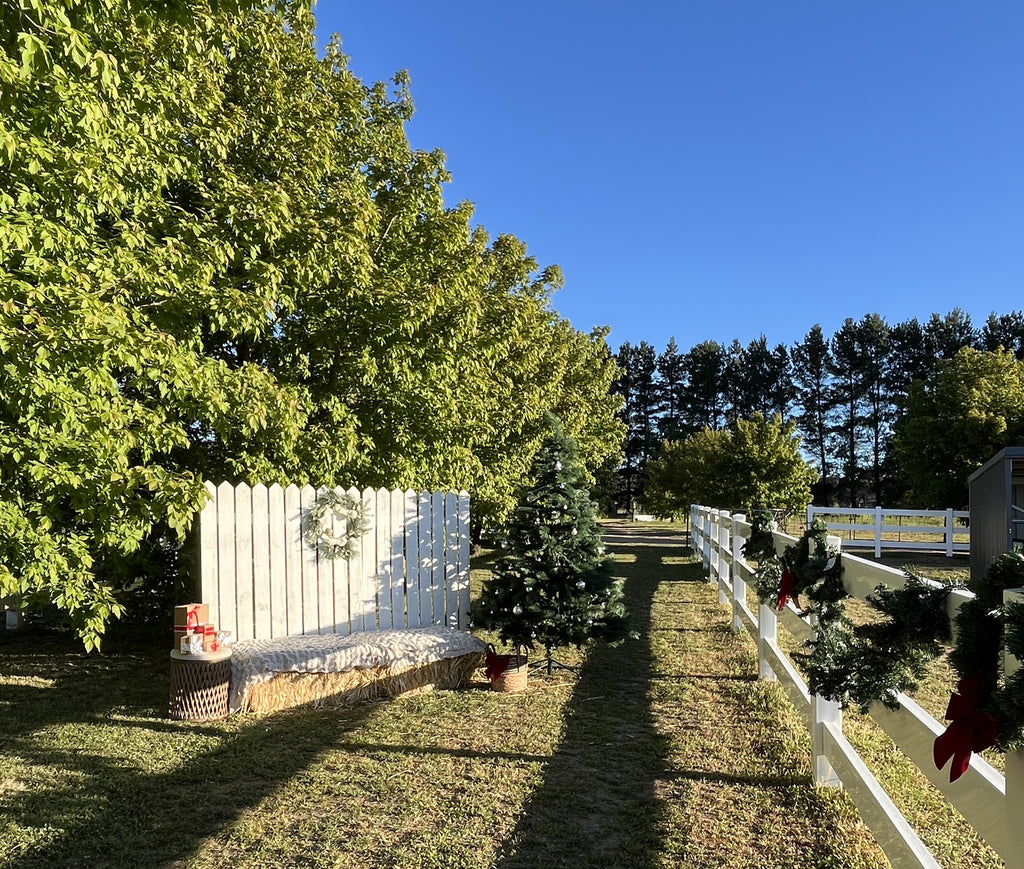 Christmas Twilight at Croftdown — Farm Tour & BYO Picnic