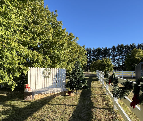 Christmas Twilight at Croftdown — Farm Tour & BYO Picnic