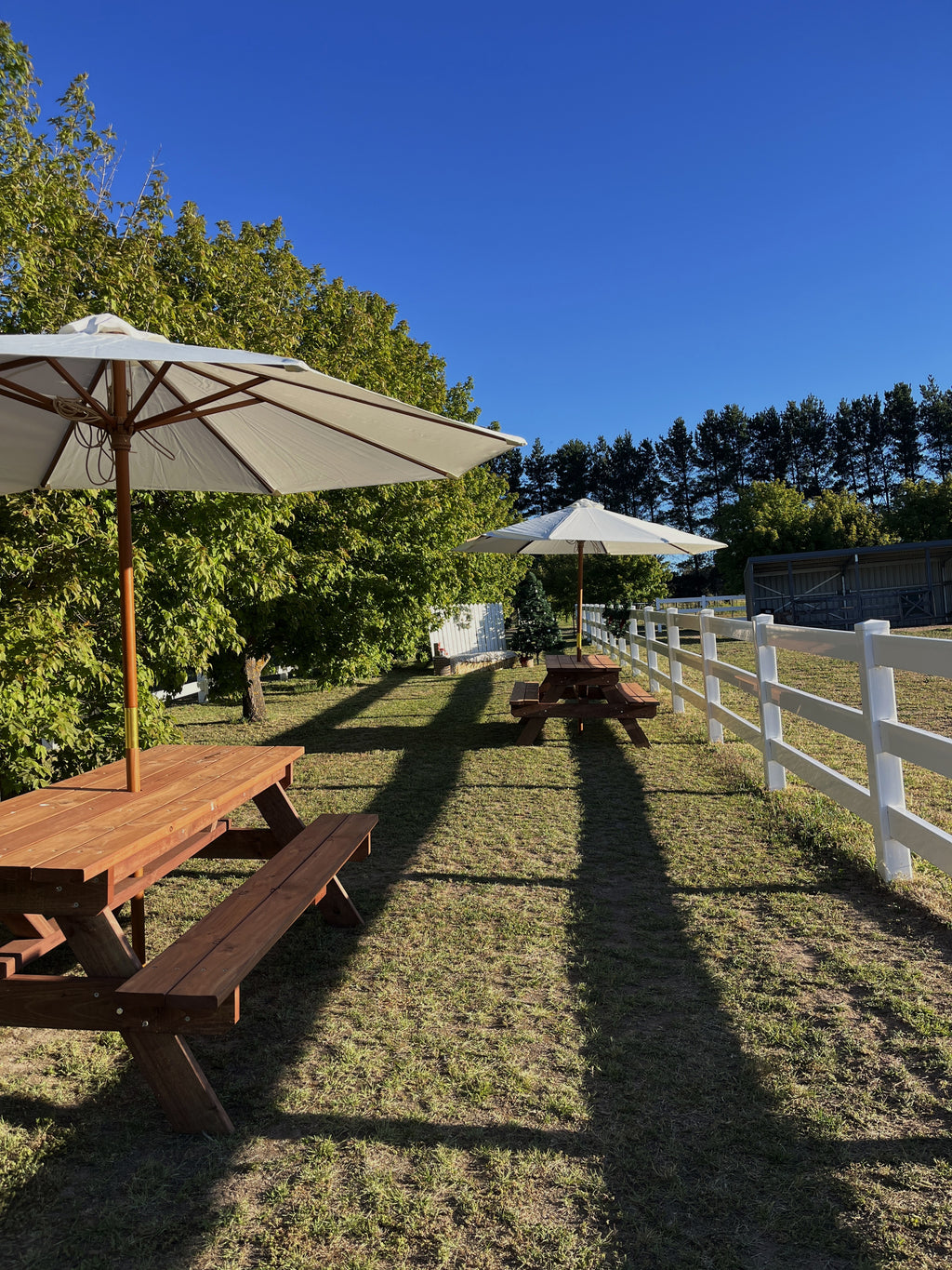 Christmas Twilight at Croftdown — Farm Tour & BYO Picnic