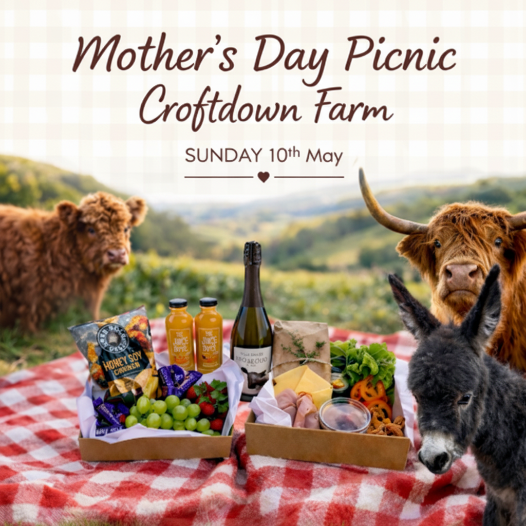 Mother's Day Picnic at Croftdown Farm