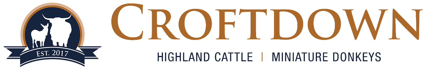 Croftdown – Miniature Donkeys and Highland Cattle
